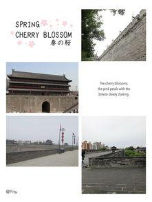 西安小王最新爆料,揭秘背后惊人真相！  第2张